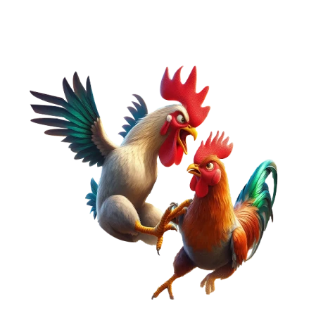 ชนไก่